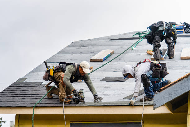 Professional Roofing technician working in Line Lexington, PA